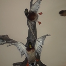 Rifles & Reels Taxidermy, LLC - Taxidermists