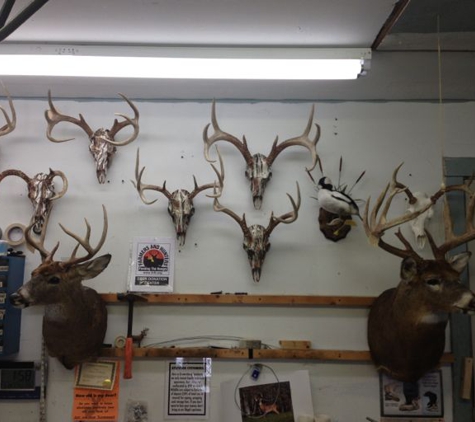 Brownsburg Taxidermy - Brownsburg, IN