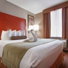 Best Western JFK Airport Hotel gallery