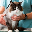 Baldwin Animal Clinic, Inc - Veterinary Specialty Services