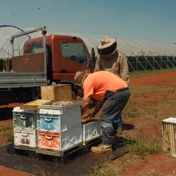 Gallery Image Number 3