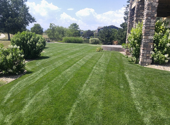 Epic Lawn Pro - Longmont, CO