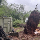 Warrior Tree Service - Tree Service