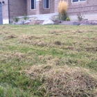 Utah Lawn Aeration