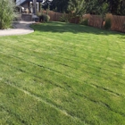 Greenside Lawn Maintenance