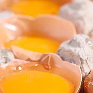 Llandilo Farm Fresh Eggs - Llandilo, NSW. Image 1