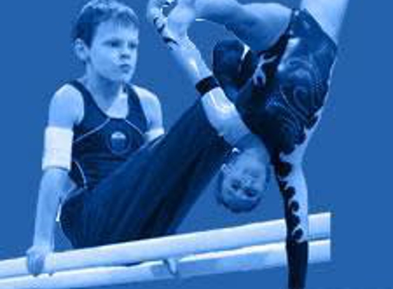 Michigan Academy of Gymnastics, Inc. - Westland, MI