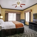 Comfort Suites Lake Ray Hubbard - Motels