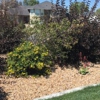 Tatum Lawn Care gallery