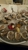 Jax Fish House & Oyster Bar - Seafood Restaurants