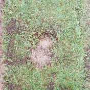 Gallery Image Number 2