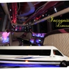 Incognito Limousine gallery