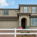 Paradisi Discovery - Taylor Morrison - Home Builders