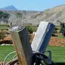 Beartooth River Ranch - Ranches