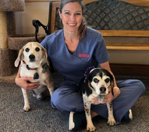 Foothills Animal Hospital - Lakewood, CO