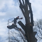 Metalback Tree Service