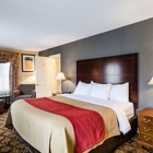 Comfort Inn Rockland - Boston