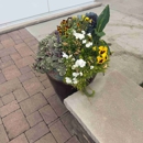 5280 Tree and Landscaping Services