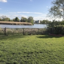 Clean Yard
