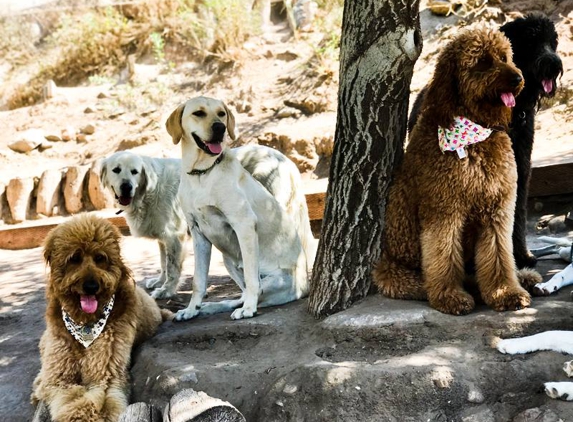 Topanga Pet Resort - Topanga, CA