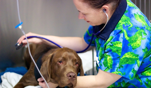 Para Hills Veterinary Clinic - Para Hills, SA
