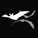 Get Bats Out Perkasie - Pest Control Services