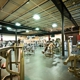 Global Fitness