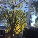 Allstate Tree Service - Tree Service