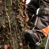 RG Tree Service gallery