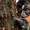 RG Tree Service - Tree Service