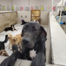 The Barking Lot