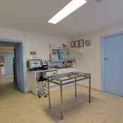 Gallery Image Number 6