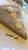 CoCo Crepes, Waffles & Coffee - Coffee & Espresso Restaurants