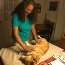 Innate Animal Communication - Veterinarians