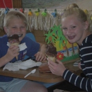 Paradice Ice Cream & Ice Treats - Ice Cream & Frozen Desserts