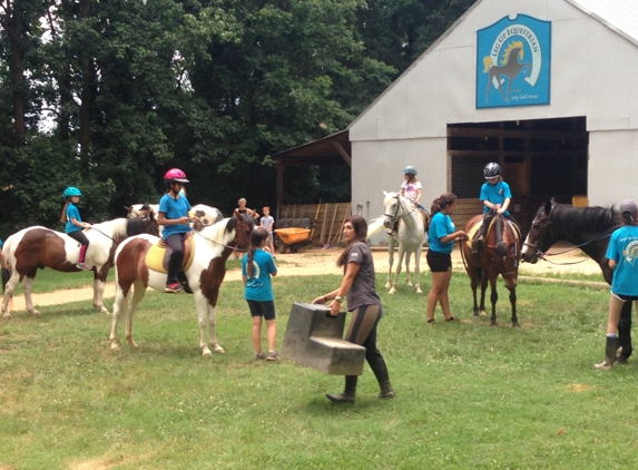 Leg Up Equestrian - Fort Mill, SC