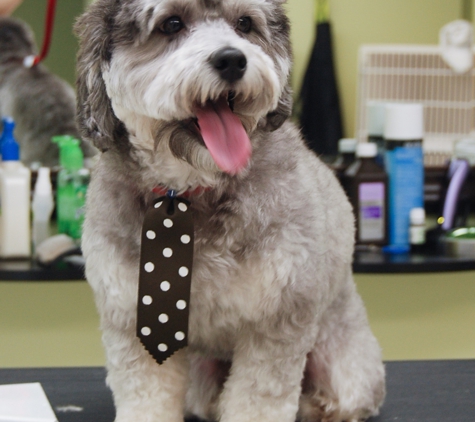 Charming Pet Grooming - Springfield, NJ