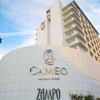 Cameo Beverly Hills, LXR Hotels & Resorts gallery