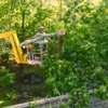 Tree Worx gallery