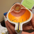 Cutarelli Vision - Boulder Valley - Opticians