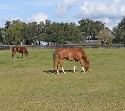 Agriscape Sod Services - Arcadia, FL