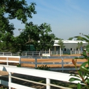 Fincastle Farm - Horse Training