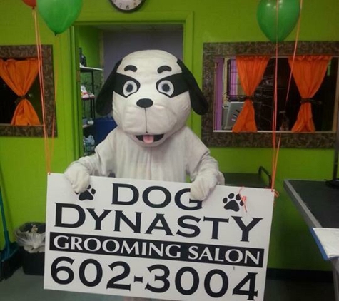 Dog Dynasty Grooming Salon - Oklahoma City, OK