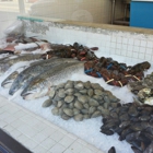 New Deal Fish Market