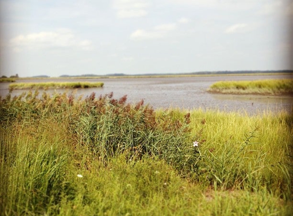 Bombay Hook Natl Wildlife Rfg - Smyrna, DE