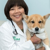 Kakaako Pet Hospital gallery