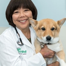 Kakaako Pet Hospital - Veterinary Clinics & Hospitals