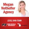 Nothelfer, Megan, AGT gallery