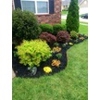 Henson & Sons Landscaping & Tree Service gallery