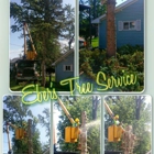 Eber's Tree Service